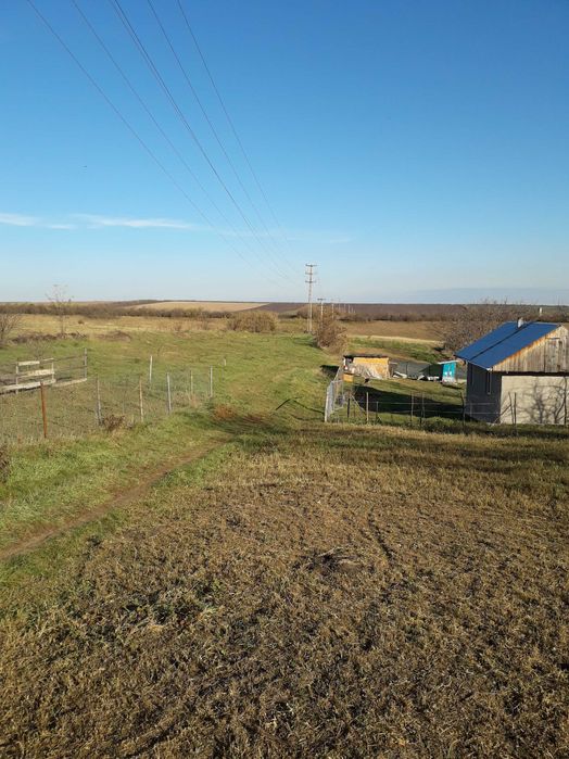 Vând teren intravilan în Tg.Frumos