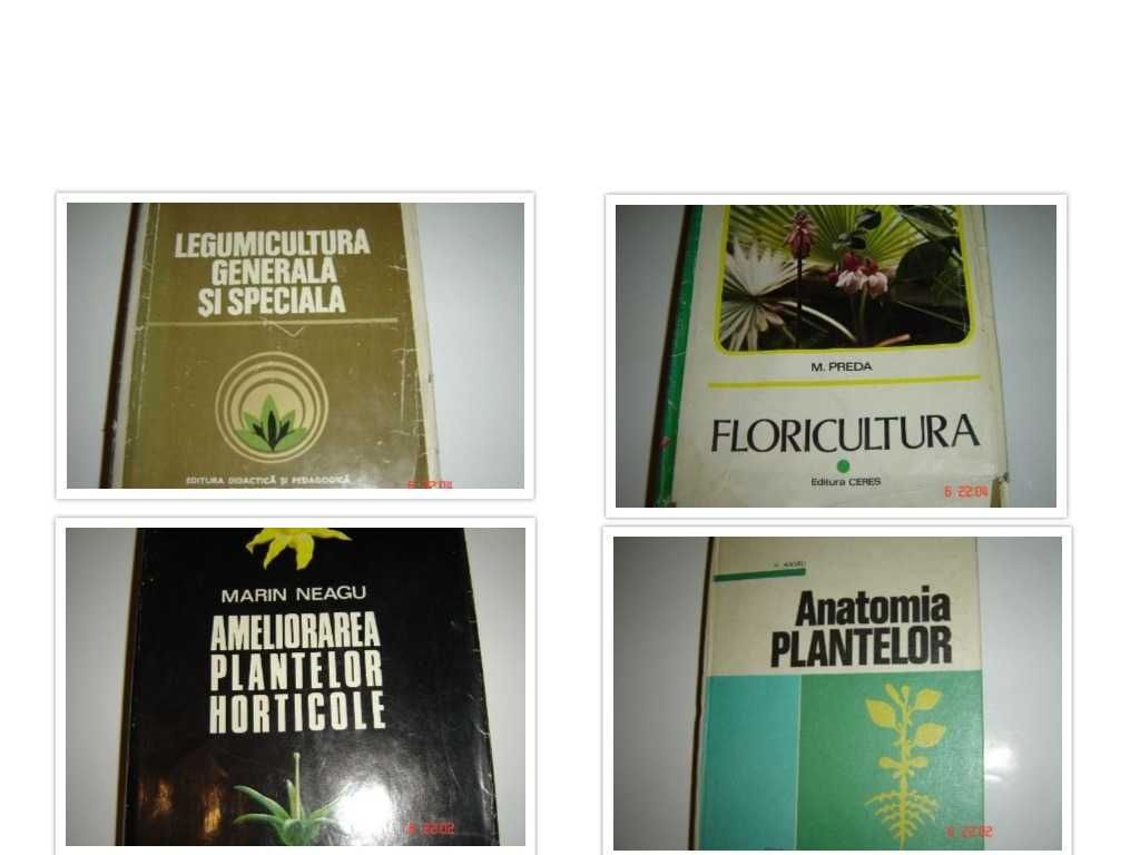 Legumicultura si floricultura