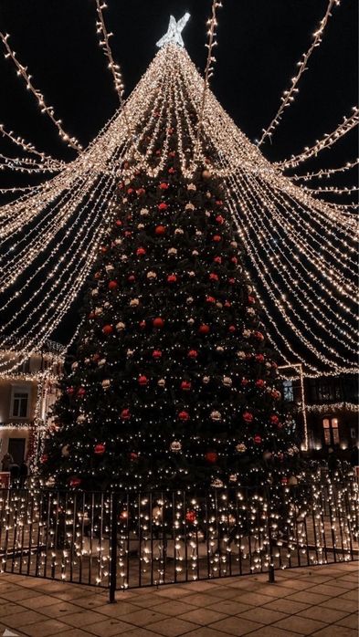 Новый год в свете огней/оформление/декорация/ёлки/олени/фигуры/санта