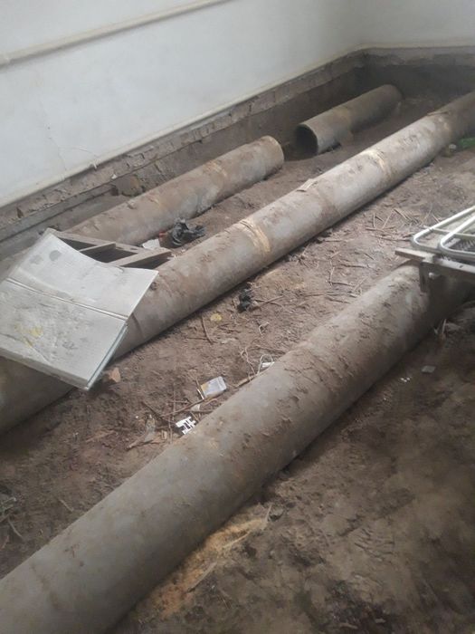 Усы затлардын бари сатылады