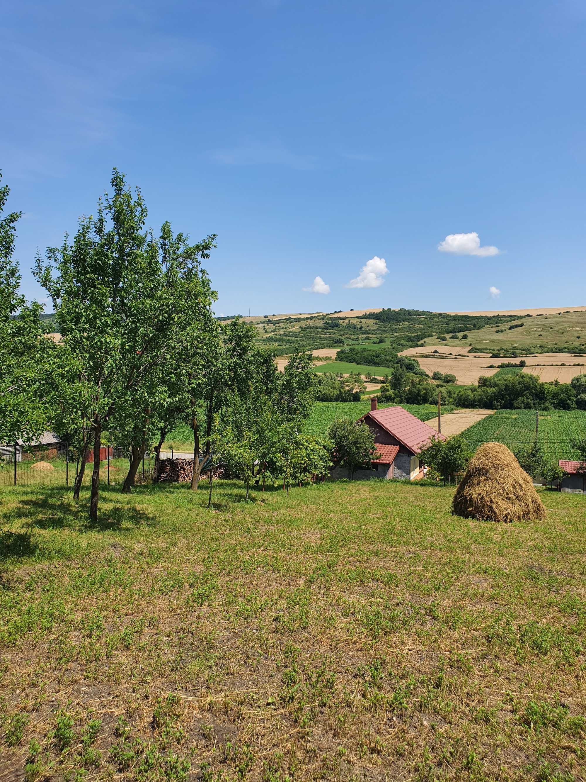 casa cu gradina si terenuri in localiatea Dabaca