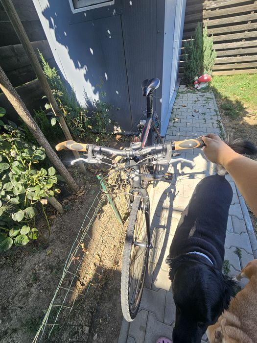 Bicicleta semicursiera Model CUBE SL CROSS COMP