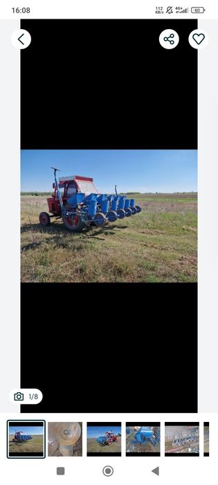 Cereale porumb Ceahlău