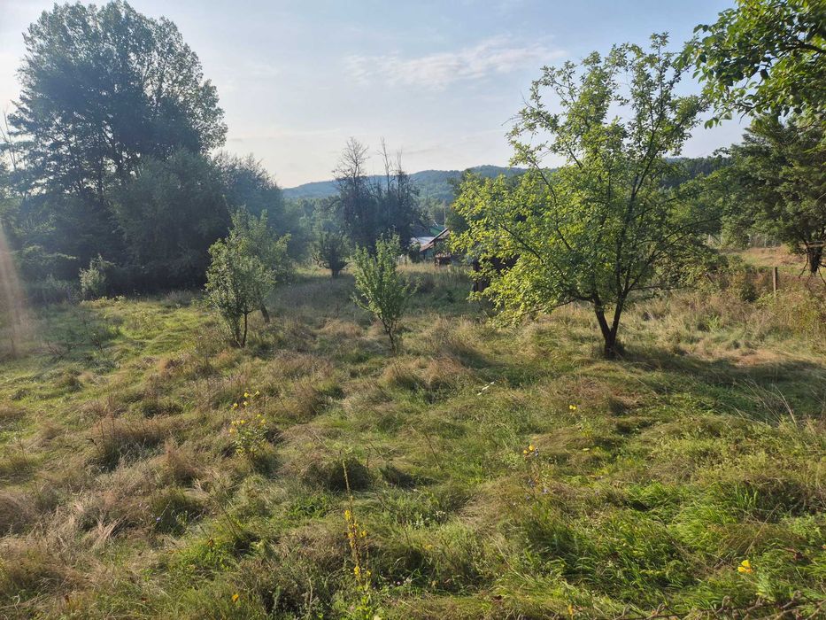 Teren intravilan 2611 m2 Tepsenari comuna Milcoiu