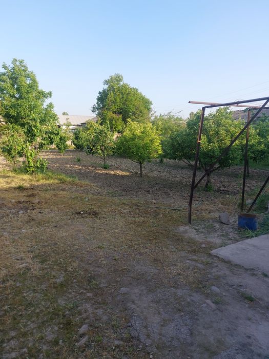 Yer uchastkasi 4 sotix