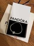 Гривна Пандора Pandora