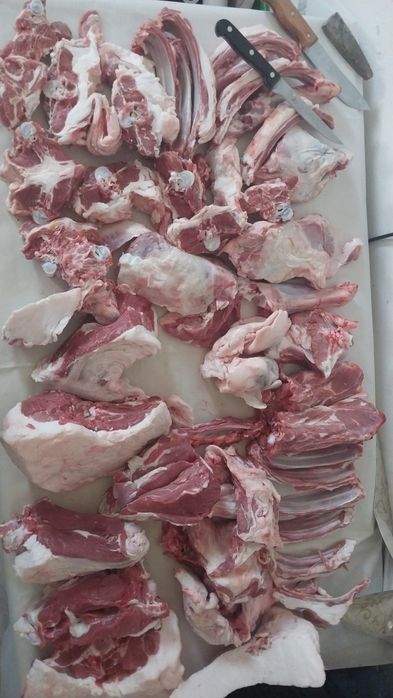 Мясо баранины (қозы) с доставкой.