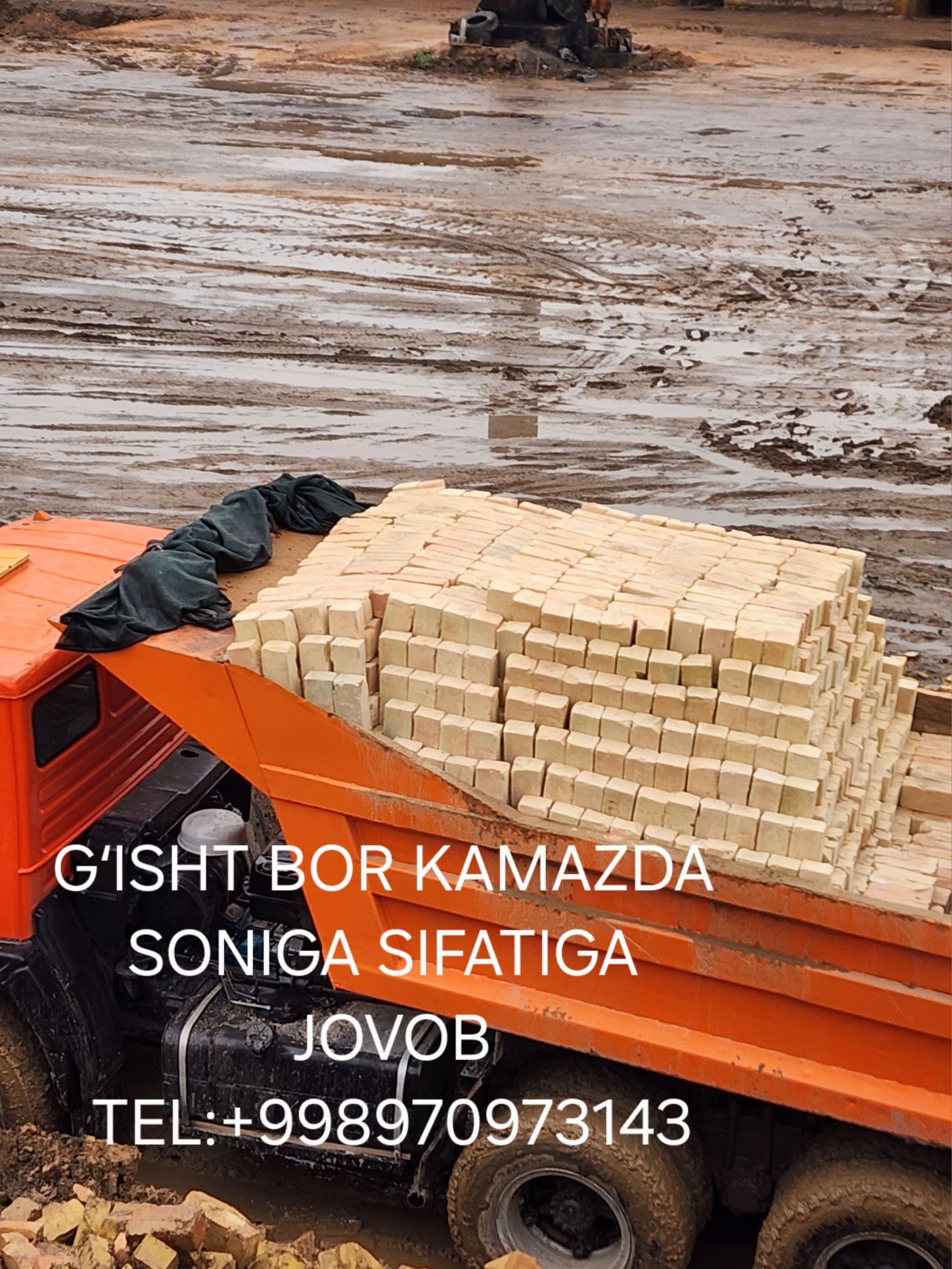 Gisht dastafka qberamiz 24/7