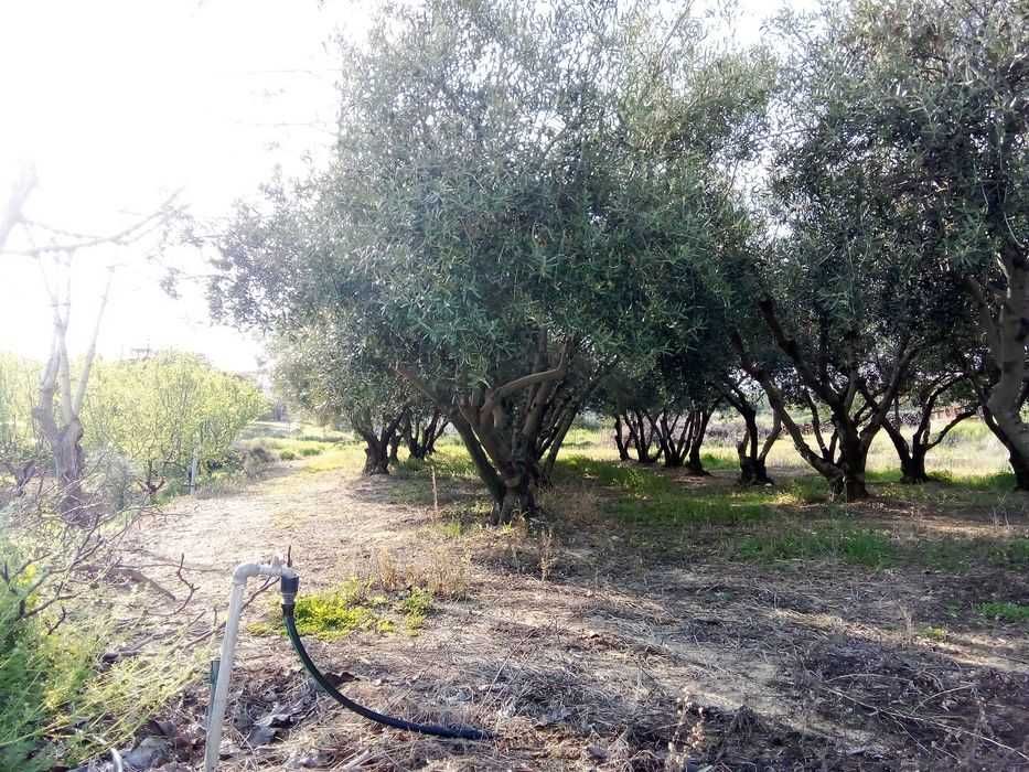 Парцел в с. Офринио, обл. Кавала . Регулация. 390 кв.м. 50000 е