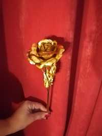 Златна роза