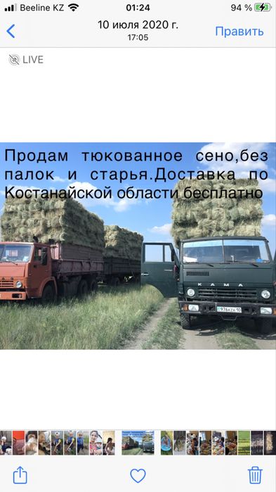 Продам Сено   в тюках    Рулонах