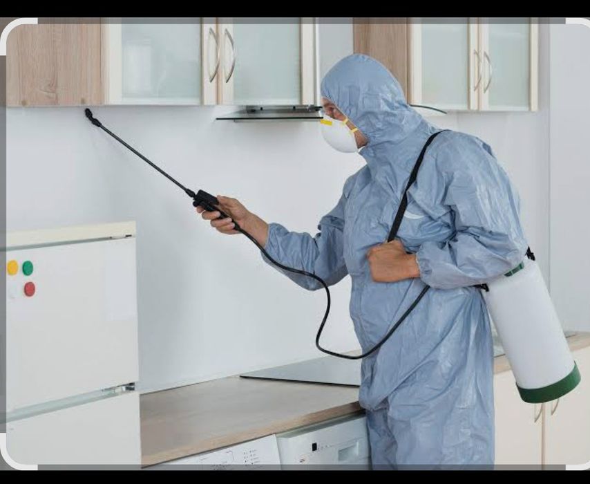 servis dezinfeksiy 24/7