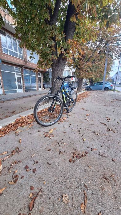 Колело PASSATI Martyn 26"