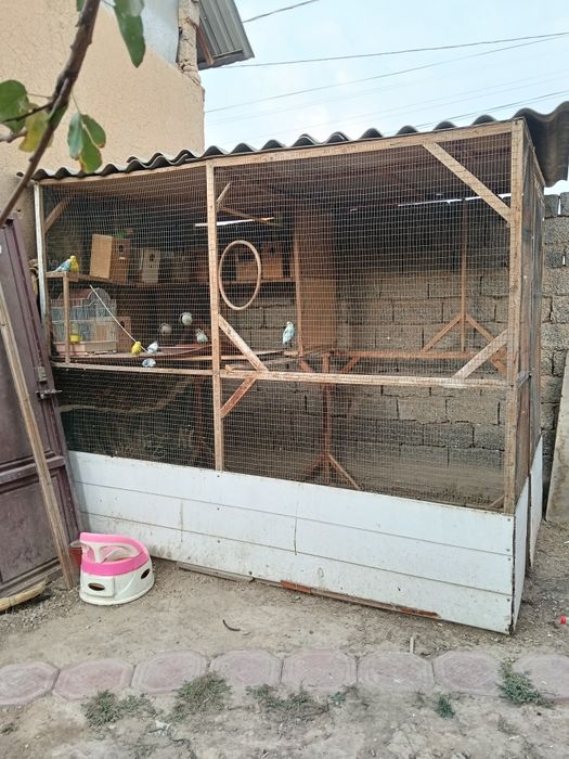 Вальер с попугаями или без попугаев