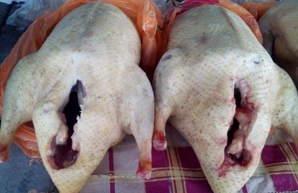 Продаются Тушки домашних гусей