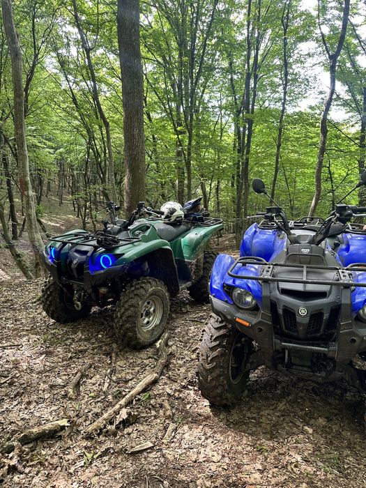 Yamaha grizzly 700