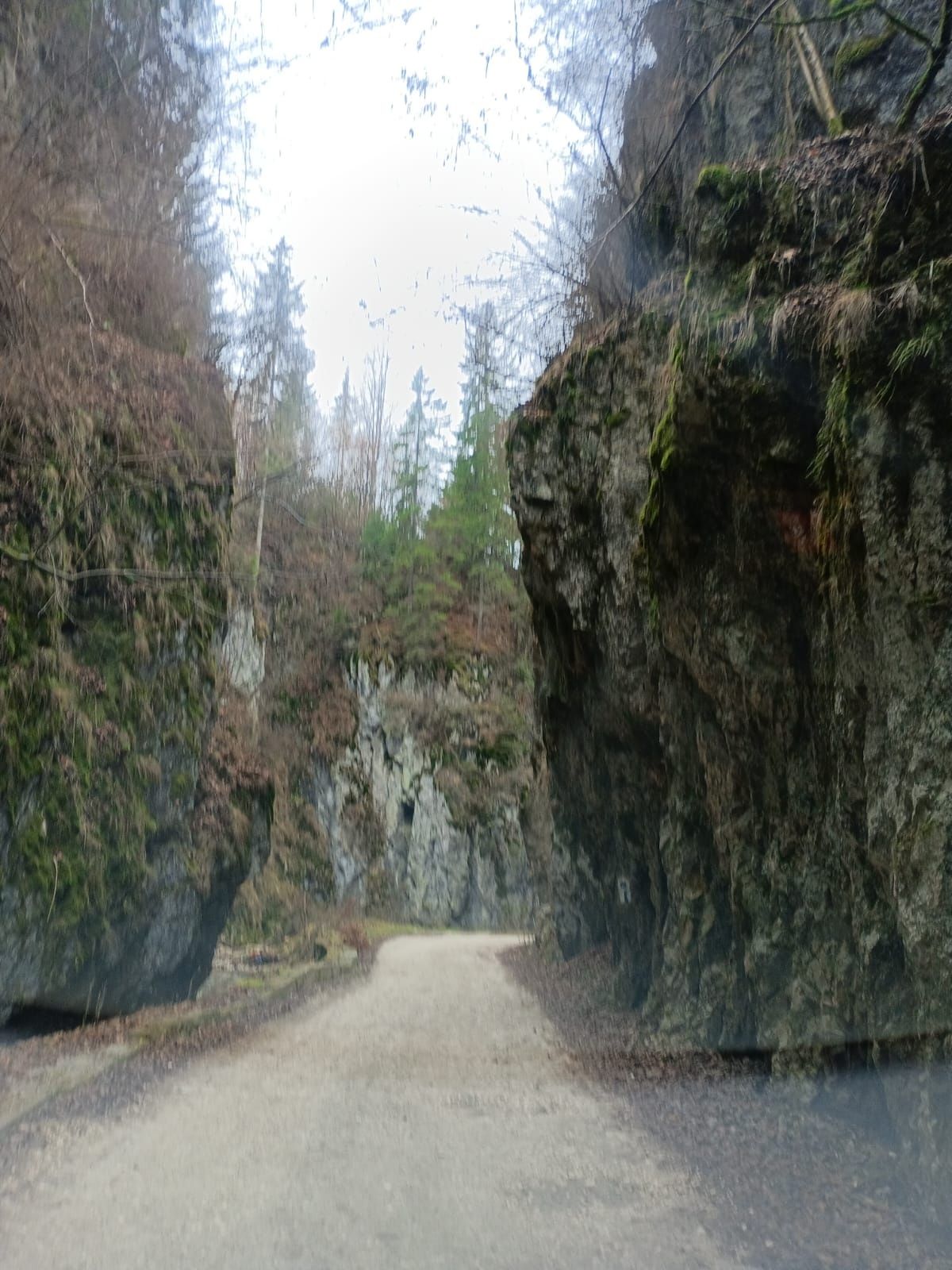 Teren la munte de vanzare Rucar-Moeciu-Bran