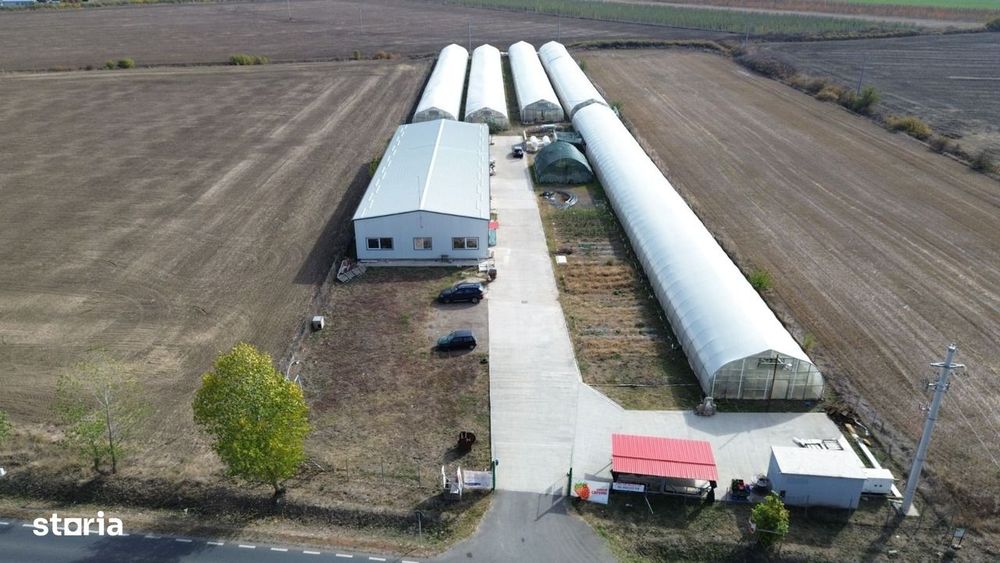 De vanzare-afacere la cheie