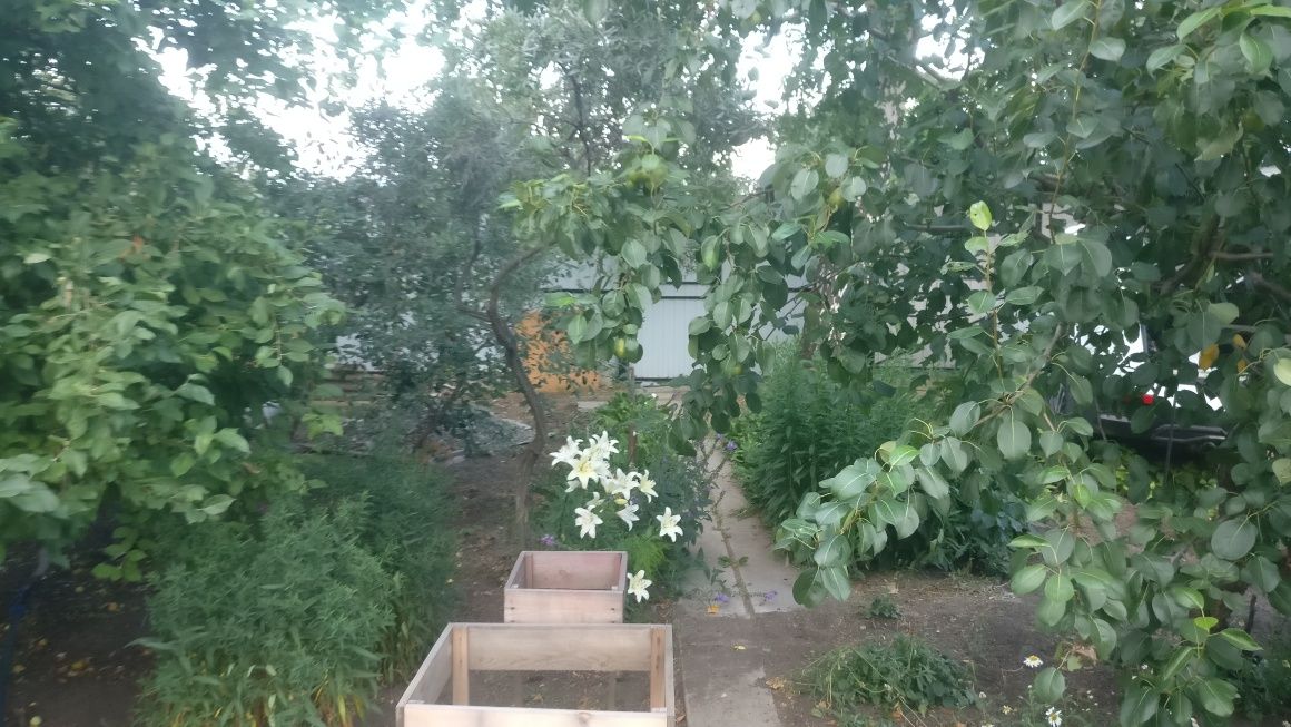 Дача, общество Мичуренец