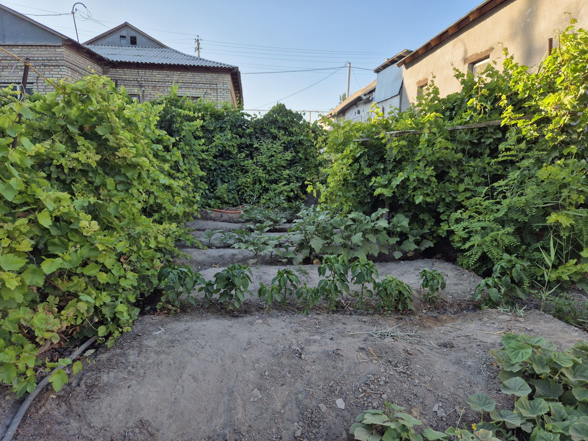 Продам дом в районе Шымбай