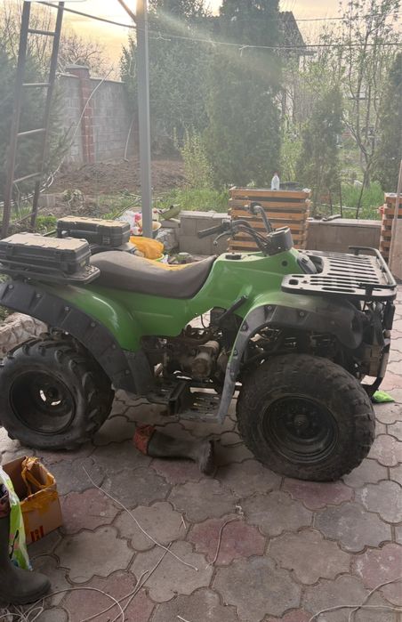 Казума гатор 250