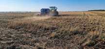 Semanatoare  No Till  - Juri Atlantic - direct in miriste