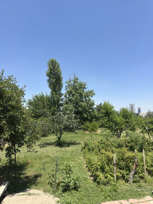 Hovli sotiladi 11 sotix