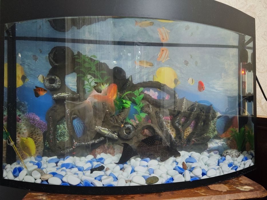 Akvarium 45 litr.