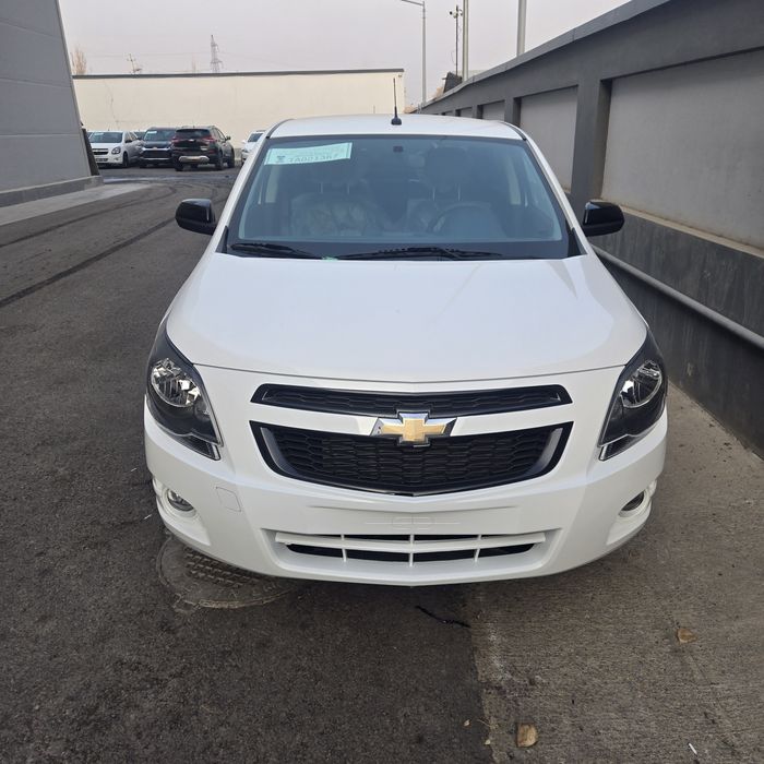 **Cobalt MSM midnight sport motor 2026