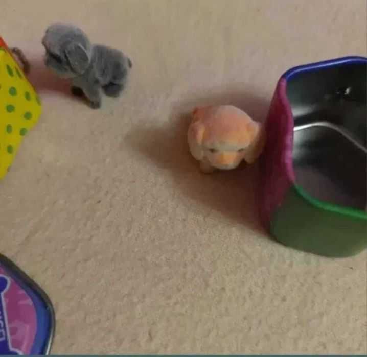 Set figurine Litle Farm Pets cu căsuțe