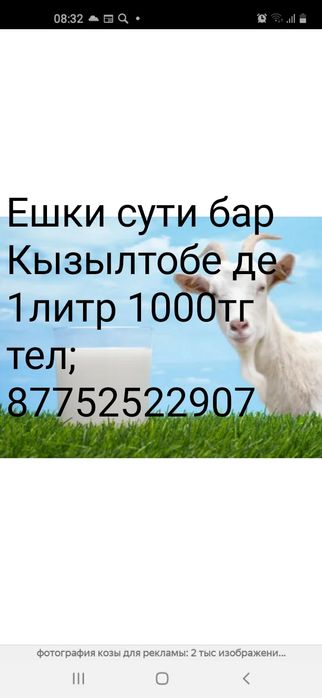 Ешки сути бар Кызылтобеде