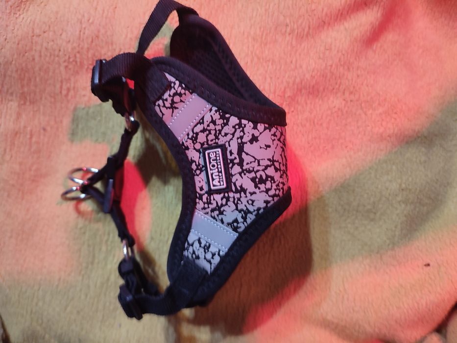 Vând ham pentru căței de talie mică