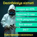 Дезинфекция Dezinfeksiya Dezinfeksiya Дезинсекция Дезинфектор