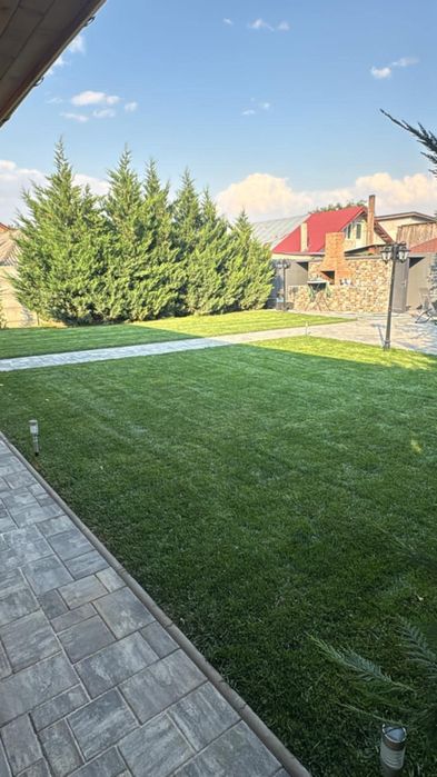 Gazon Rulou și plante Decorative