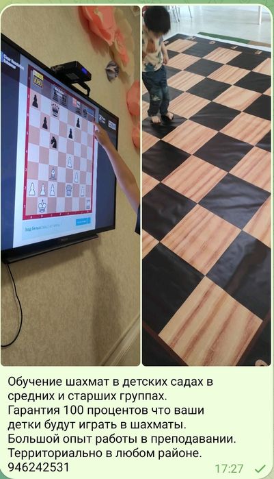 Тренер по шахматам дошкольного возраста