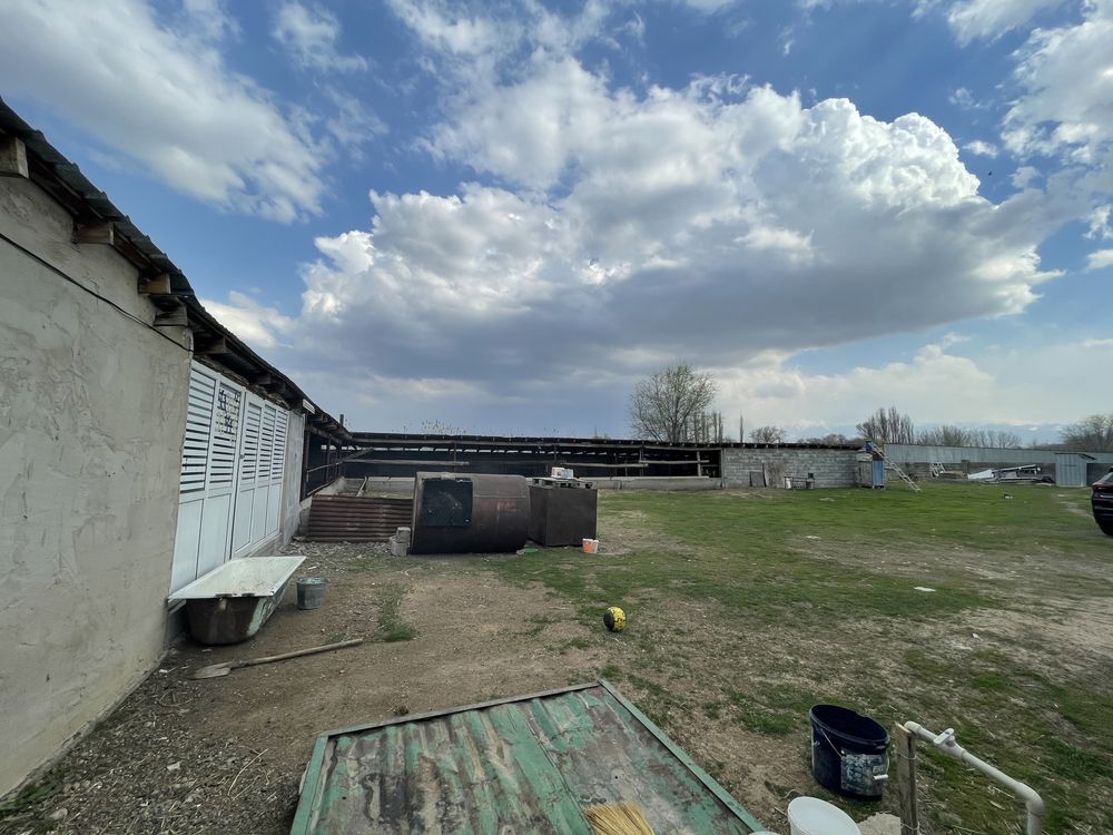 Продам фазенду
