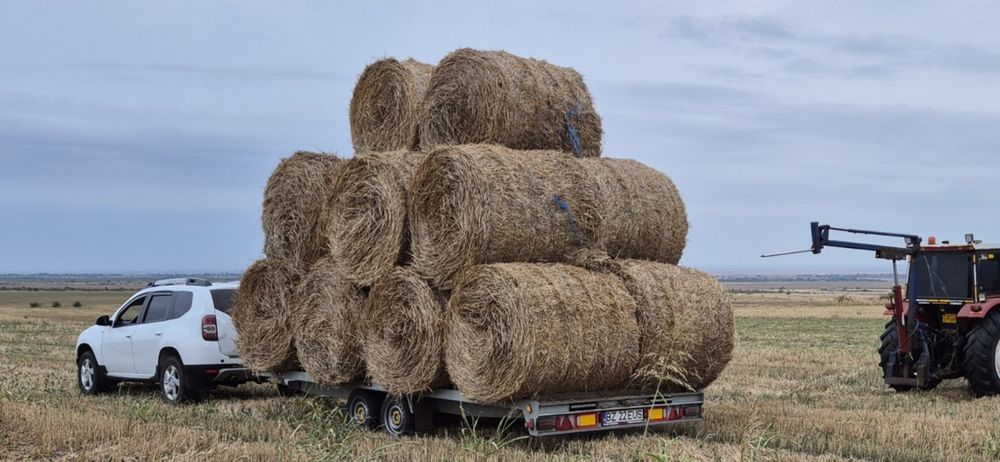 Baloti paie de grâu, de ierburi, de iarba de sudan/maturi. Producator.