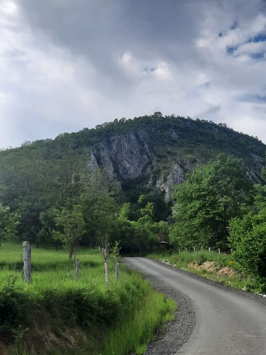 Căsuța din lemn și sura de vânzare