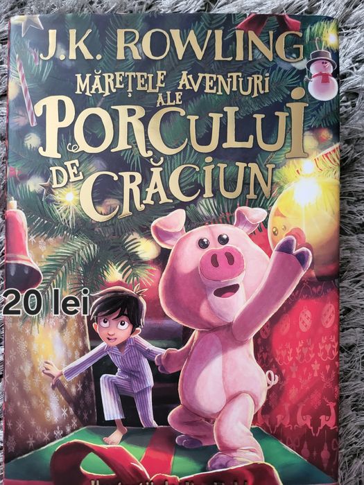 Carti si dictionare copii