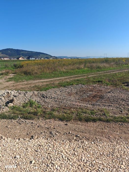 Teren Intravilan de vanzare