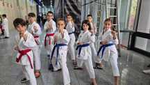 Cursuri karate  zona  Pantelimon Delfinului