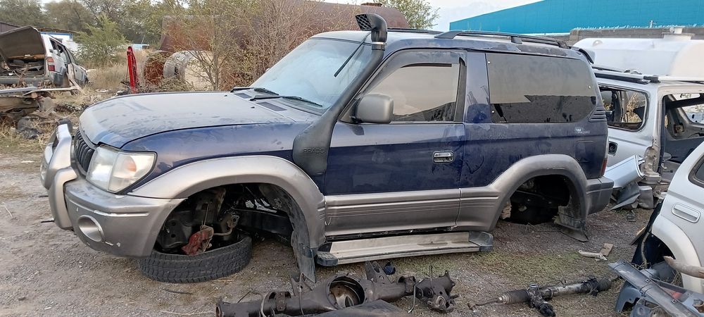 Сюрф 185, Прадо 76,78,90,95.