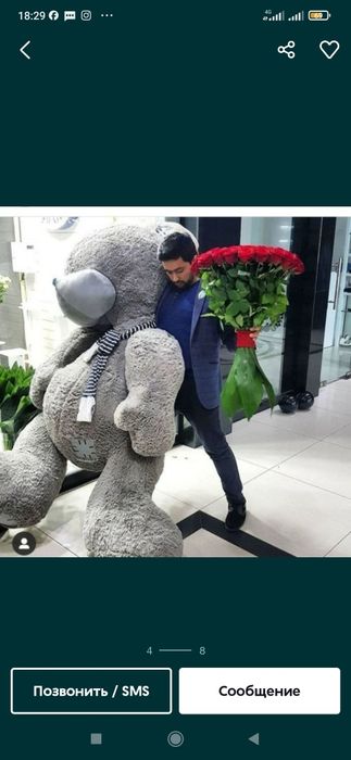 Teddi Teddy ayiqchalar (50sm 3m)