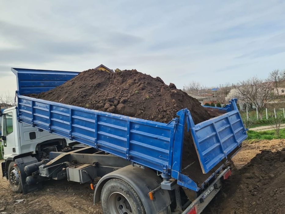 Pamant Negru Vegetal