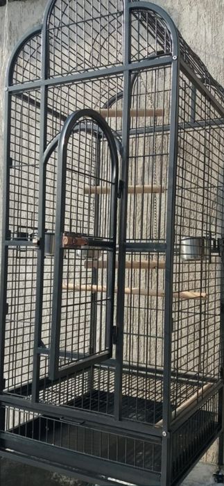 Клетка   Валер .