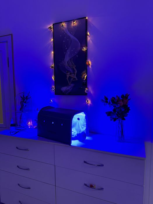 Фотолампа от желтухи,желтушки (саргыштыкка карсы лампа)