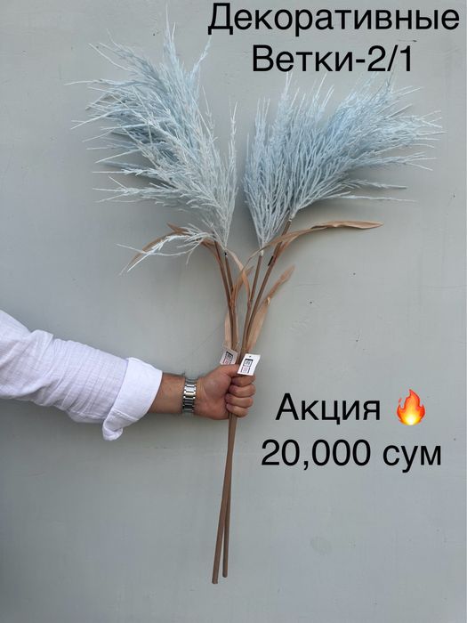 Суний гуллар шохлар оптом