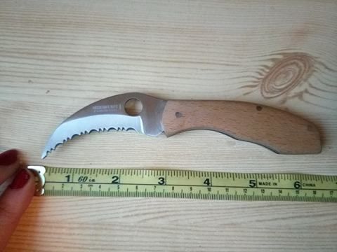 Briceag Modern Knife