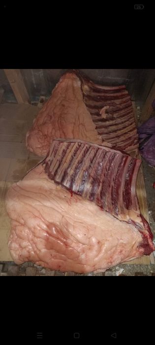 Казы, конина на рёбрах халял