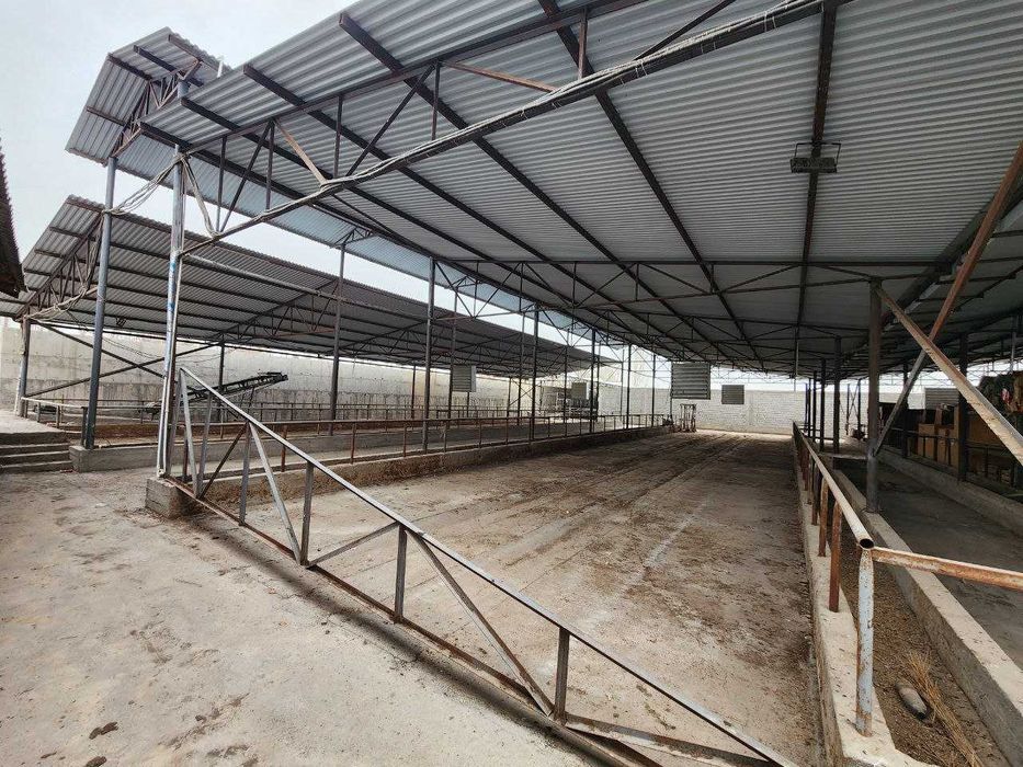 Готовый объект для инвестиций, Ready object for investment, 可供投资的现成标的